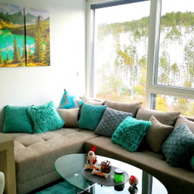 Apartman Nina Jezero