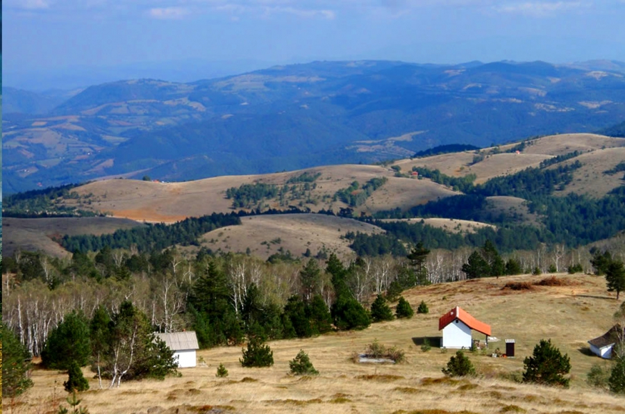 Kraljev sto